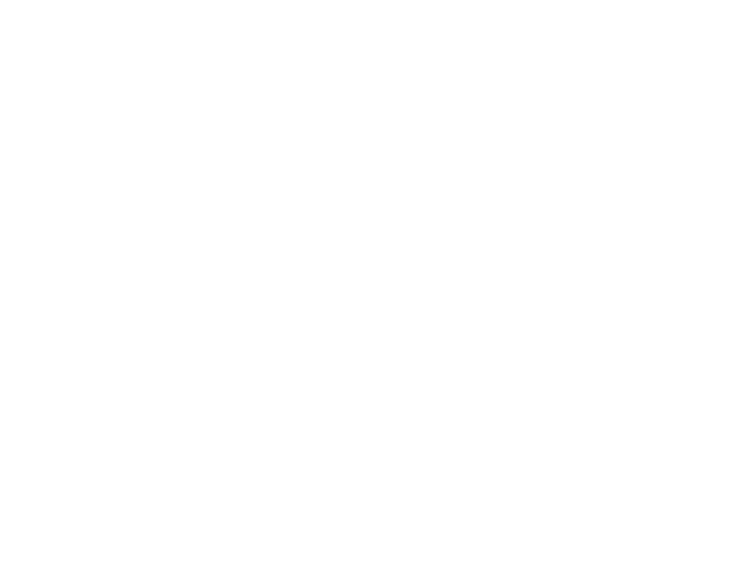 élément visuel de l'identité bally