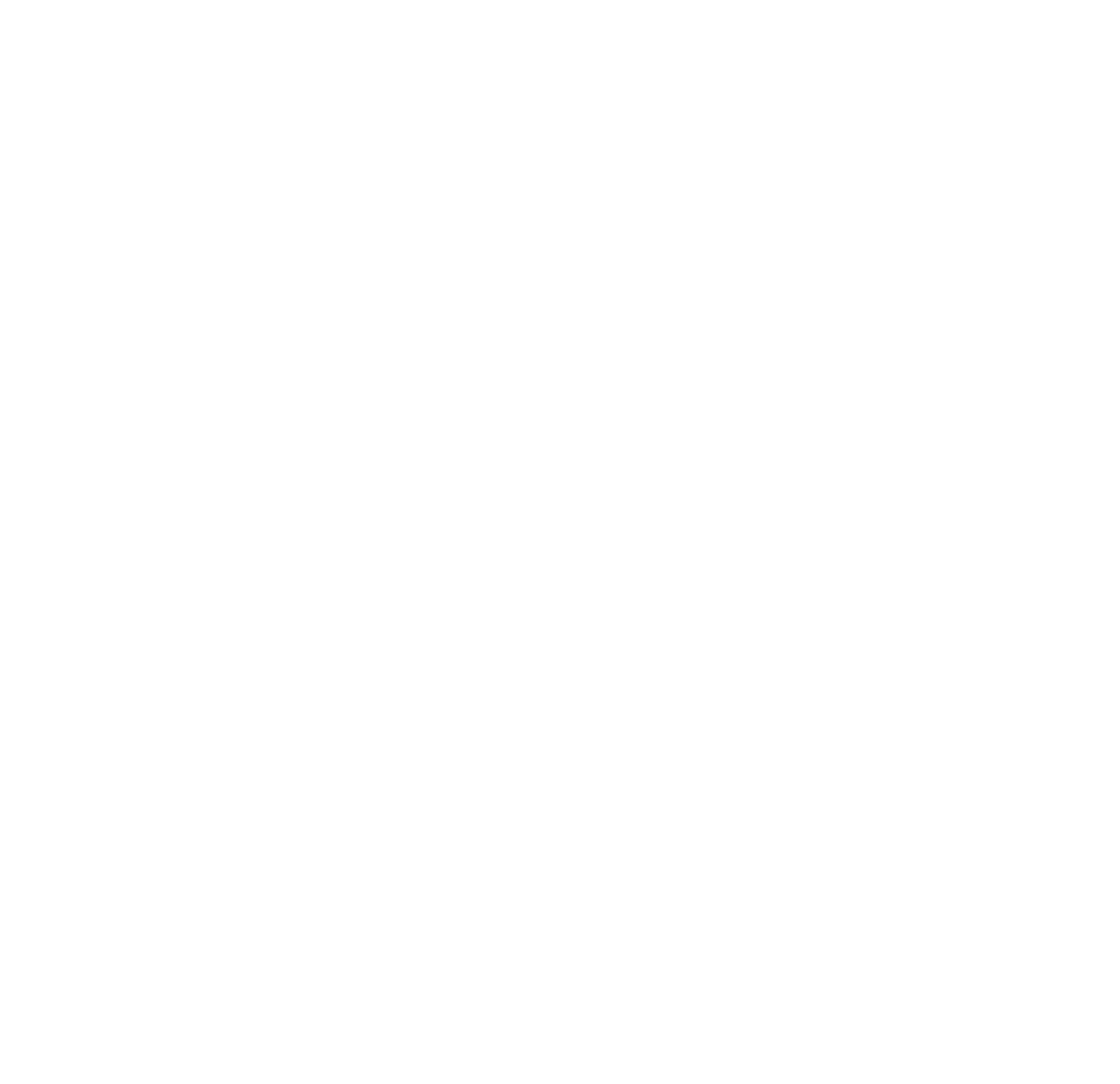 élément visuel de l'identité bally