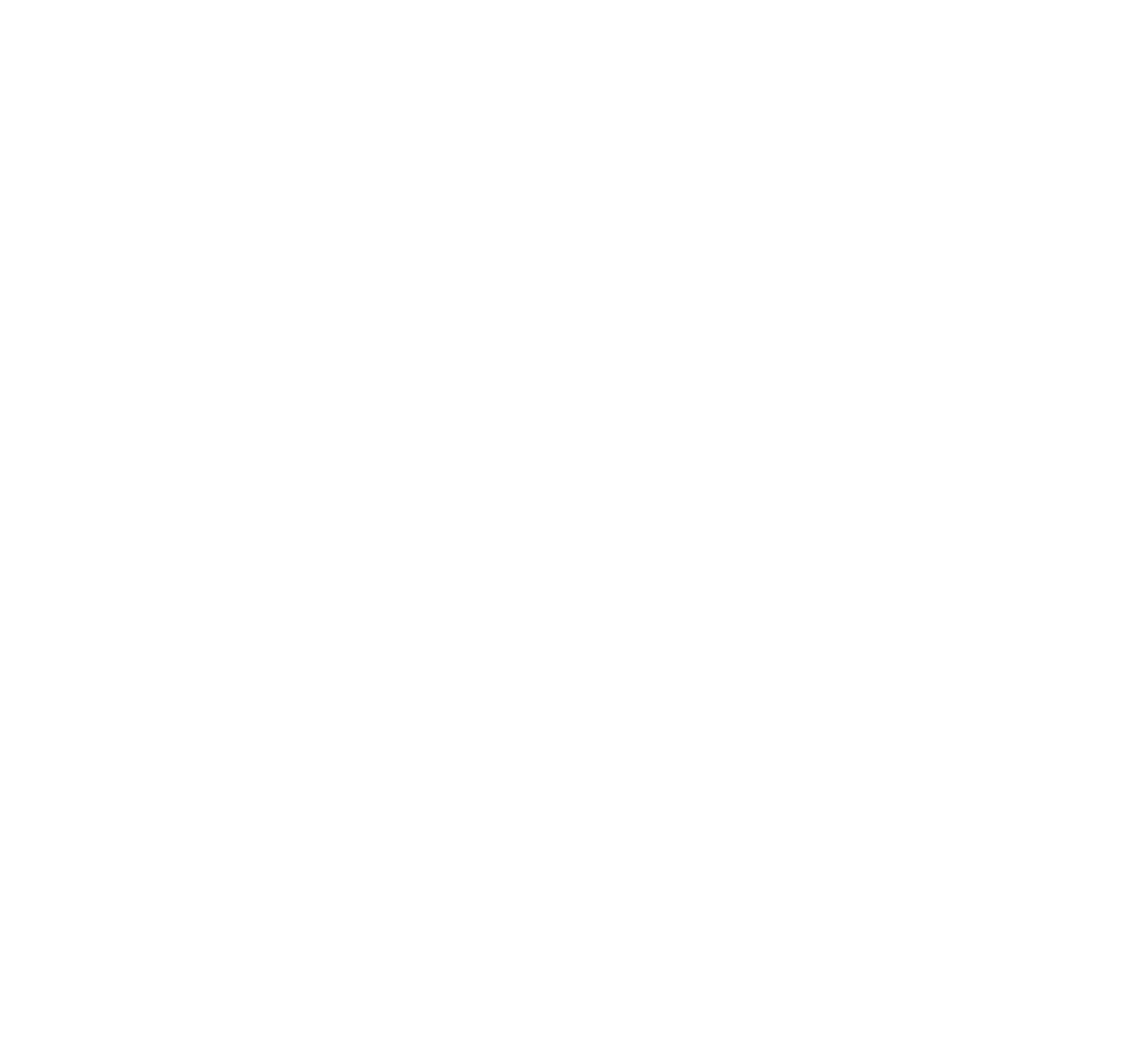 élément visuel de l'identité bally
